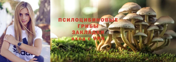 мяу мяу мука Абаза