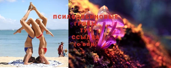 дурь Алексеевка
