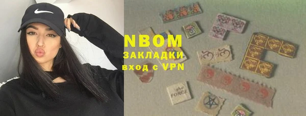 индика Абинск