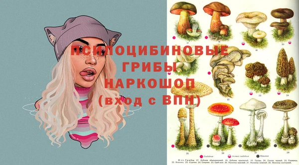 мяу мяу мука Абаза