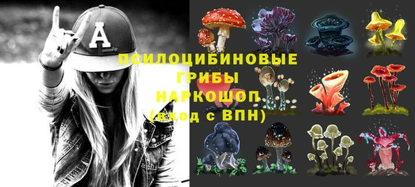 дурь Алексеевка