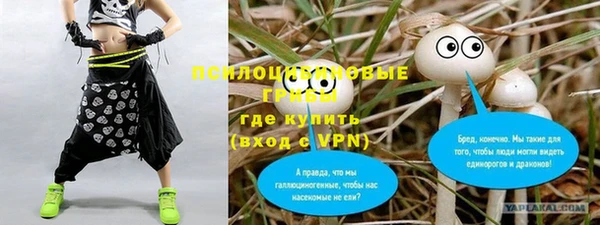 мяу мяу мука Абаза