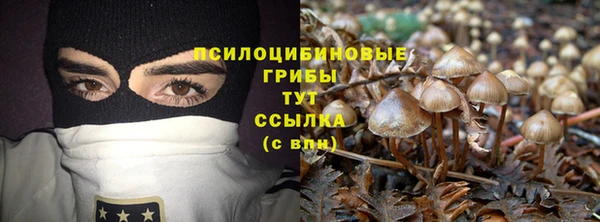 индика Абинск