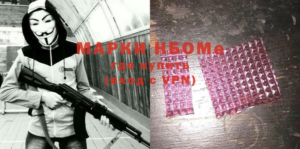 индика Абинск